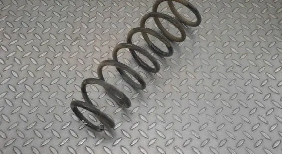 Front coil spring