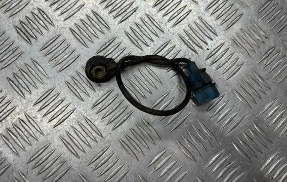 Peugeot 607 Detonation knock sensor 0261231127