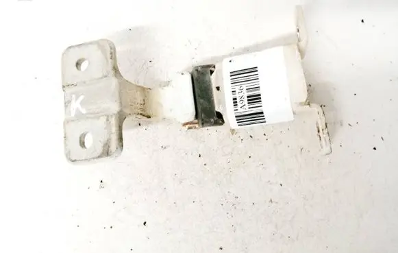 Rear door lower hinge