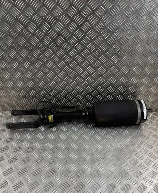 Mercedes-Benz R AMG W251 Front shock absorber/damper 15140009713