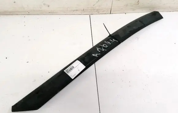 Dodge Caliber Front door glass trim molding 