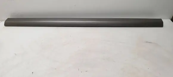 Volvo S80 Front door trim (molding) 39885624 501110404000299