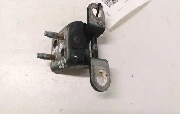 Jaguar S-Type Rear door lower hinge