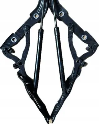 BMW 2 F22 F23 Tailgate/trunk/boot hinge