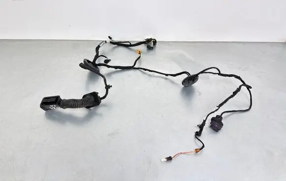 Audi A4 S4 B9 Rear door wiring loom 8W0971687AF
