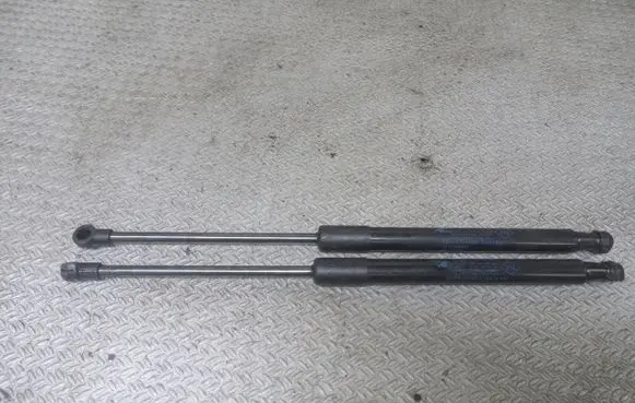 Renault Twingo II Tailgate/trunk strut/damper 8200385560