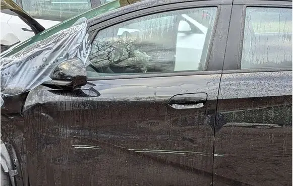 BYD Dolphin Front door
