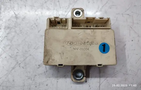KIA Sportage Other control units/modules 919401F010