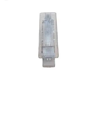 Volkswagen PASSAT B8 Front seat light 3G0947101A