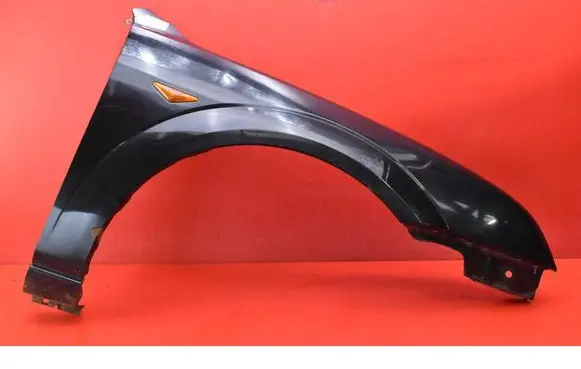 Fender