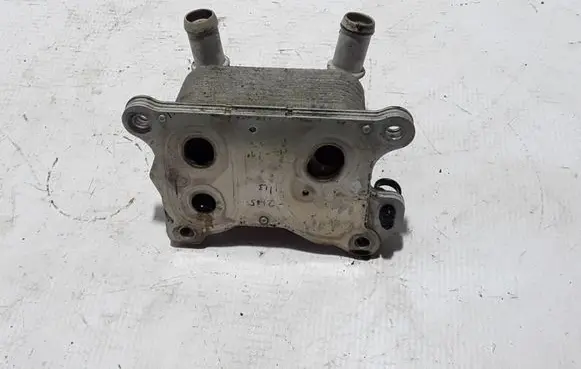 Renault Clio IV Oil filter mounting bracket 213082032R