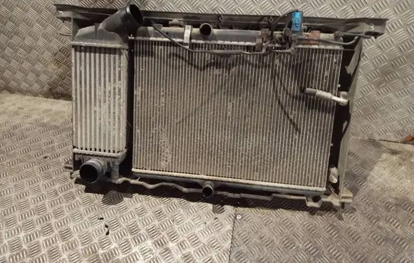 Peugeot 307 Radiator set 