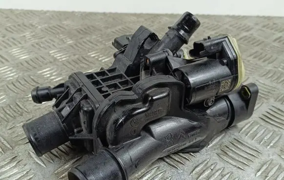 Thermostat/thermostat housing