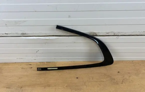BMW 5 GT F07 Rear door glass trim molding 7196419
