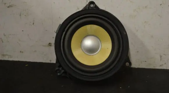 BMW X5 F15 Front door speaker 9295710