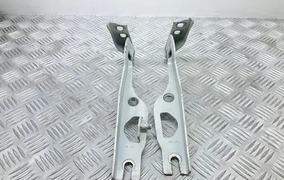Volkswagen Golf Sportsvan Engine bonnet/hood hinges 510823301B 510823302B