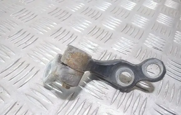 Ford Focus Rear door lower hinge