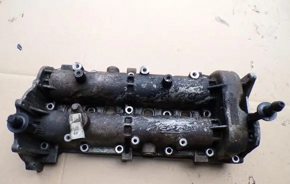 Fiat Doblo Timing chain cover 55204917