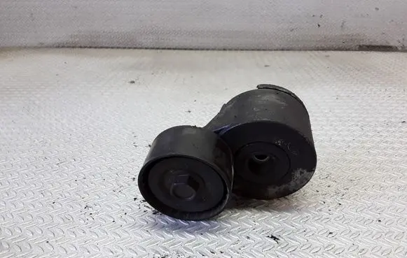 Peugeot 407 Generator/alternator belt tensioner