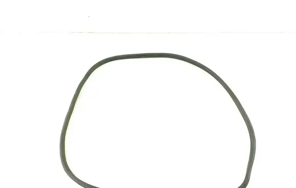 BMW 3 G20 G21 Rubber seal front door (on door) 7407373 22336711