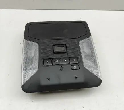 Toyota RAV 4 (XA50) Front seat light 8973B42010 1D111259G