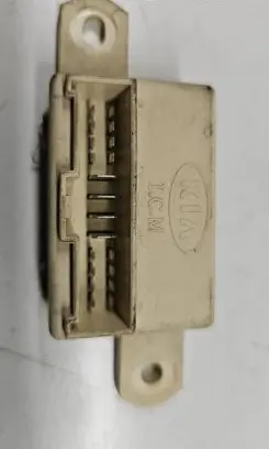 KIA Sorento Fuse module