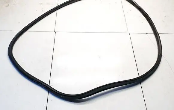 Opel Insignia A Rubber seal front coupe door 