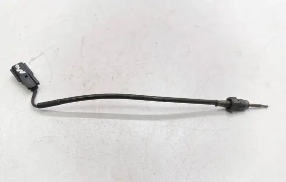 Nissan Juke I F15 Exhaust gas temperature sensor