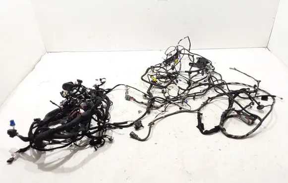 Renault Zoe Other wiring loom 241632764S