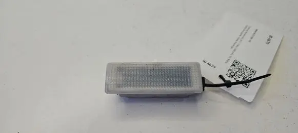 BMW X6 E71 Front seat light 972605