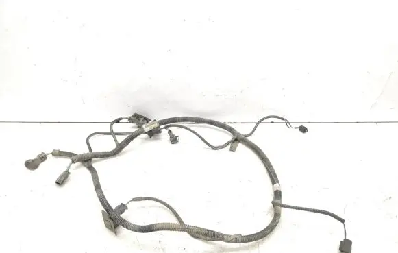 Renault Laguna III Parking sensor (PDC) wiring loom 20103467