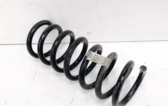 Rear coil spring