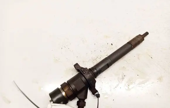 Citroen C5 Fuel injector 0445110259