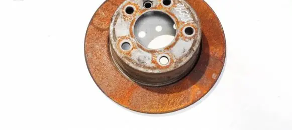 Rear brake disc