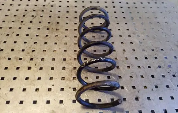 Rear coil spring