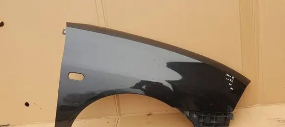 Seat Ibiza III (6L) Fender 