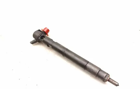 Chevrolet Captiva Fuel injector 28489548