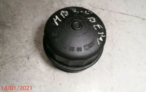 Mercedes-Benz S W220 Oil filter cover 1041840608