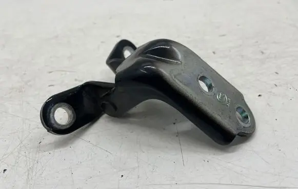 KIA Niro Rear door lower hinge