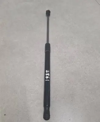 Tailgate/trunk strut/damper