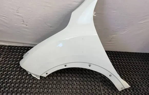 Nissan Juke I F15 Fender 