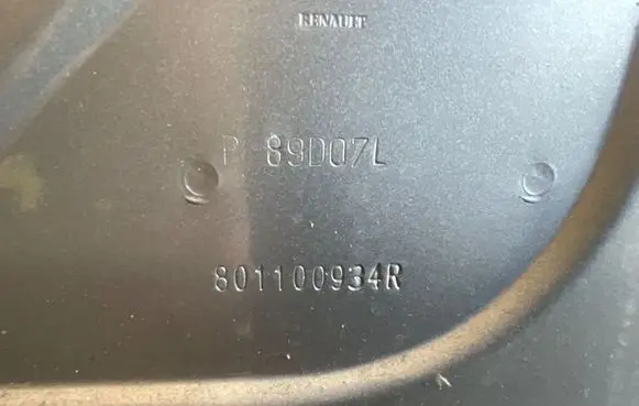 Renault Trafic III (X82) Front door 801100934R