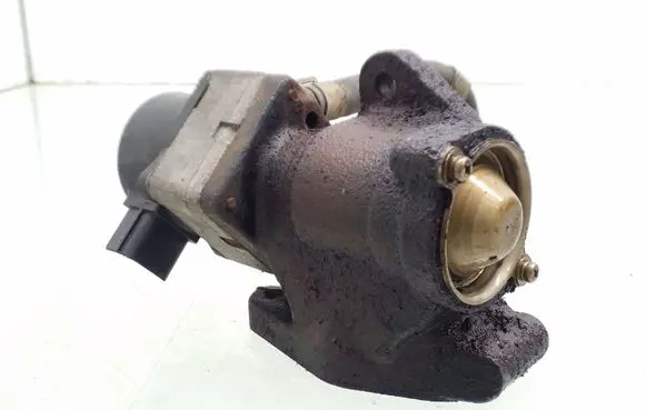 Nissan Primera EGR valve