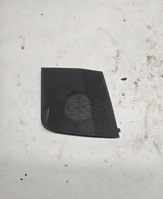 Toyota RAV 4 (XA40) Side speaker trim/cover 5553542010