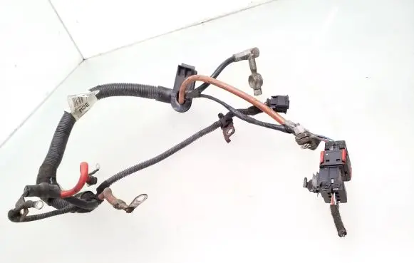 Opel Tigra B Other wiring loom 55558287