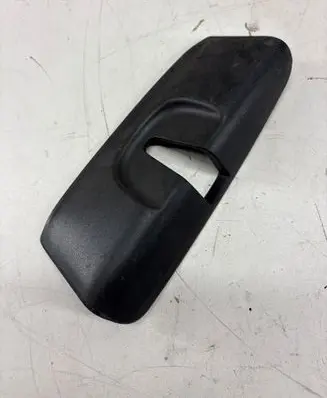 Other rear door trim element