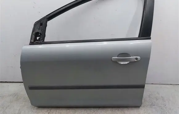 Ford Focus Front door 