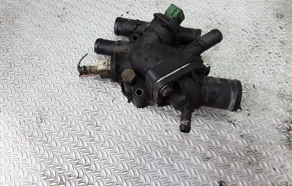 Thermostat/thermostat housing