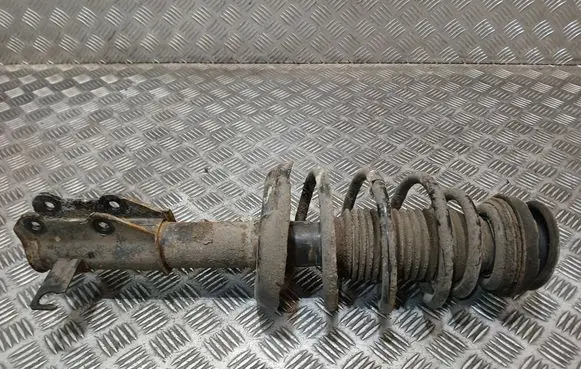 Opel Insignia A Front shock absorber with coil spring