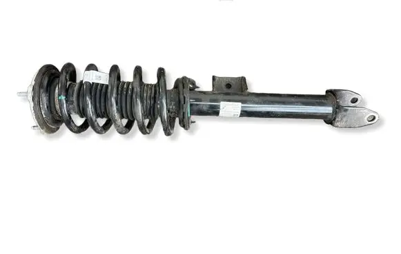 Tesla Model S Plaid Front shock absorber with coil spring 134436100D